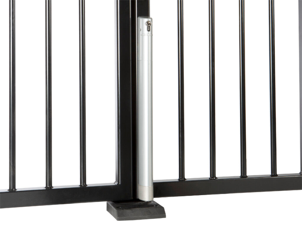 Cerrojo motorizado ELECTRADROP de Locinox