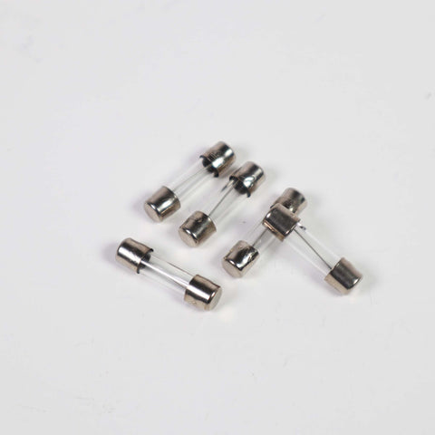 Viking R-6 4 Amp Fuse - VNXF4A