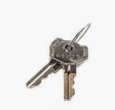 Liftmaster 041ASWG-0119 RELEASE KEY, QTY 2