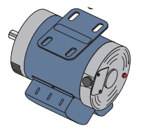 All-O-Matic MTR-1051 1/2 HP DUAL CAP AC MOTOR for SL-150AC